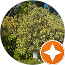 Donald Milne profile picture